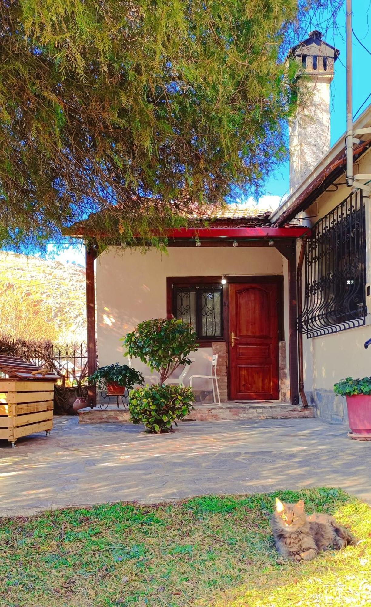 特里卡拉Το Πέτρινο Σπιτάκι公寓 外观 照片